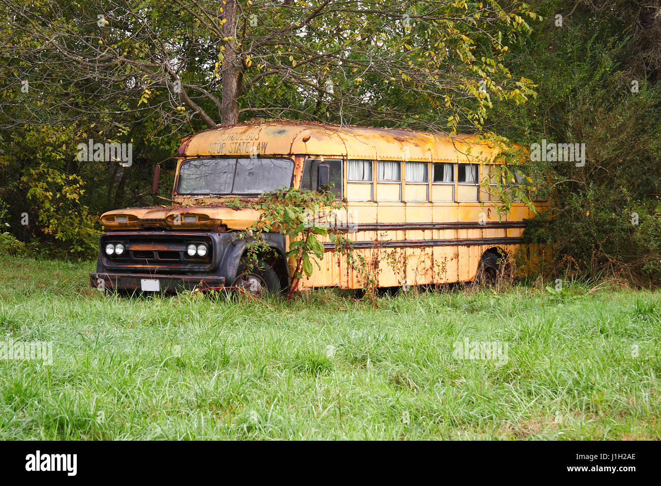 Vecchia scuola abbandonata Bus Foto Stock