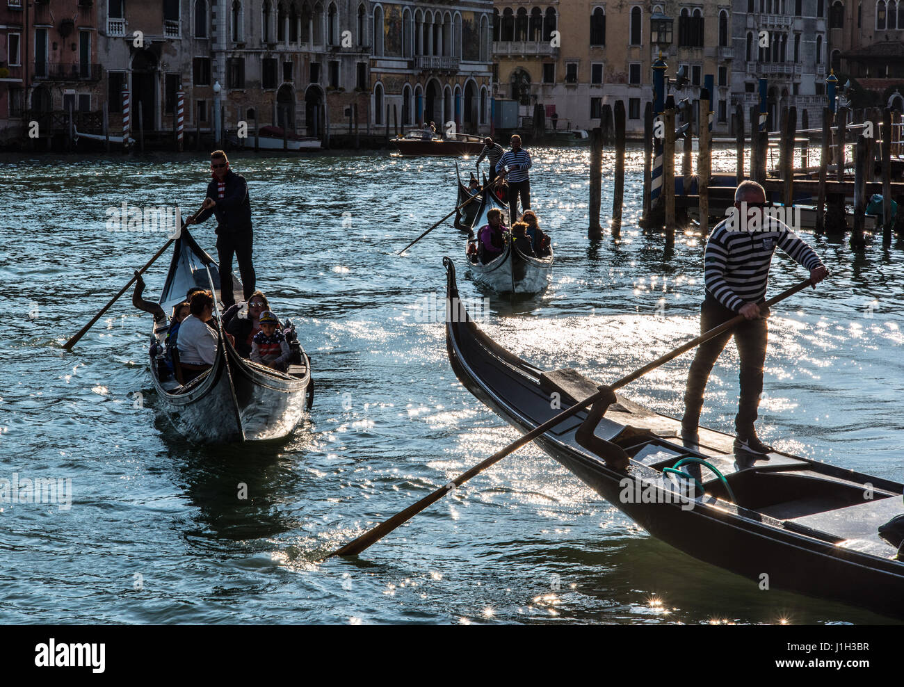 Gondole stagliano contro il Canal Grande in sera vicino al Ponte dell'Accademia bridge, Venezia Foto Stock