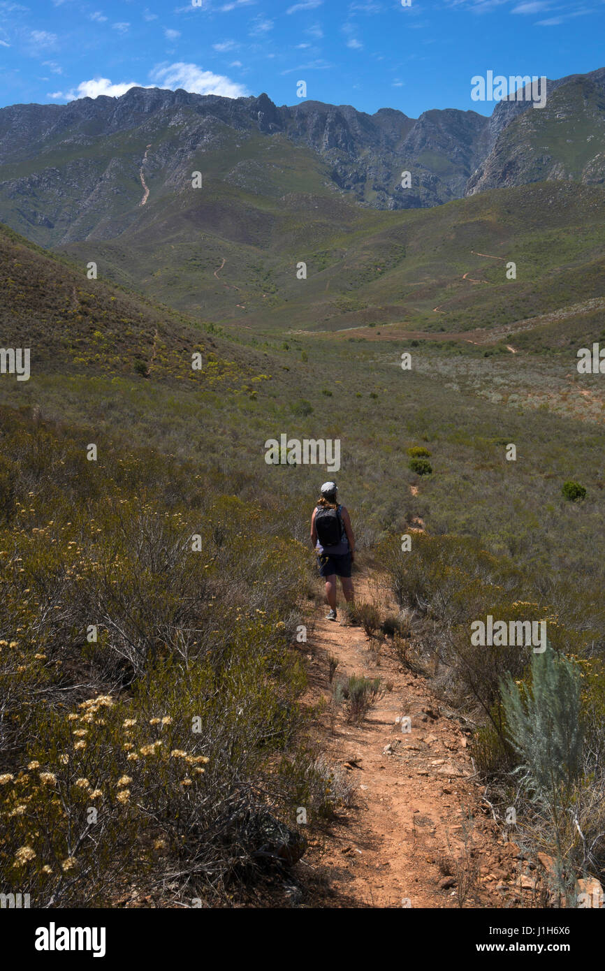 Walker in colline e paesaggio intorno al Robinson , Western Cape, Sud Africa Foto Stock