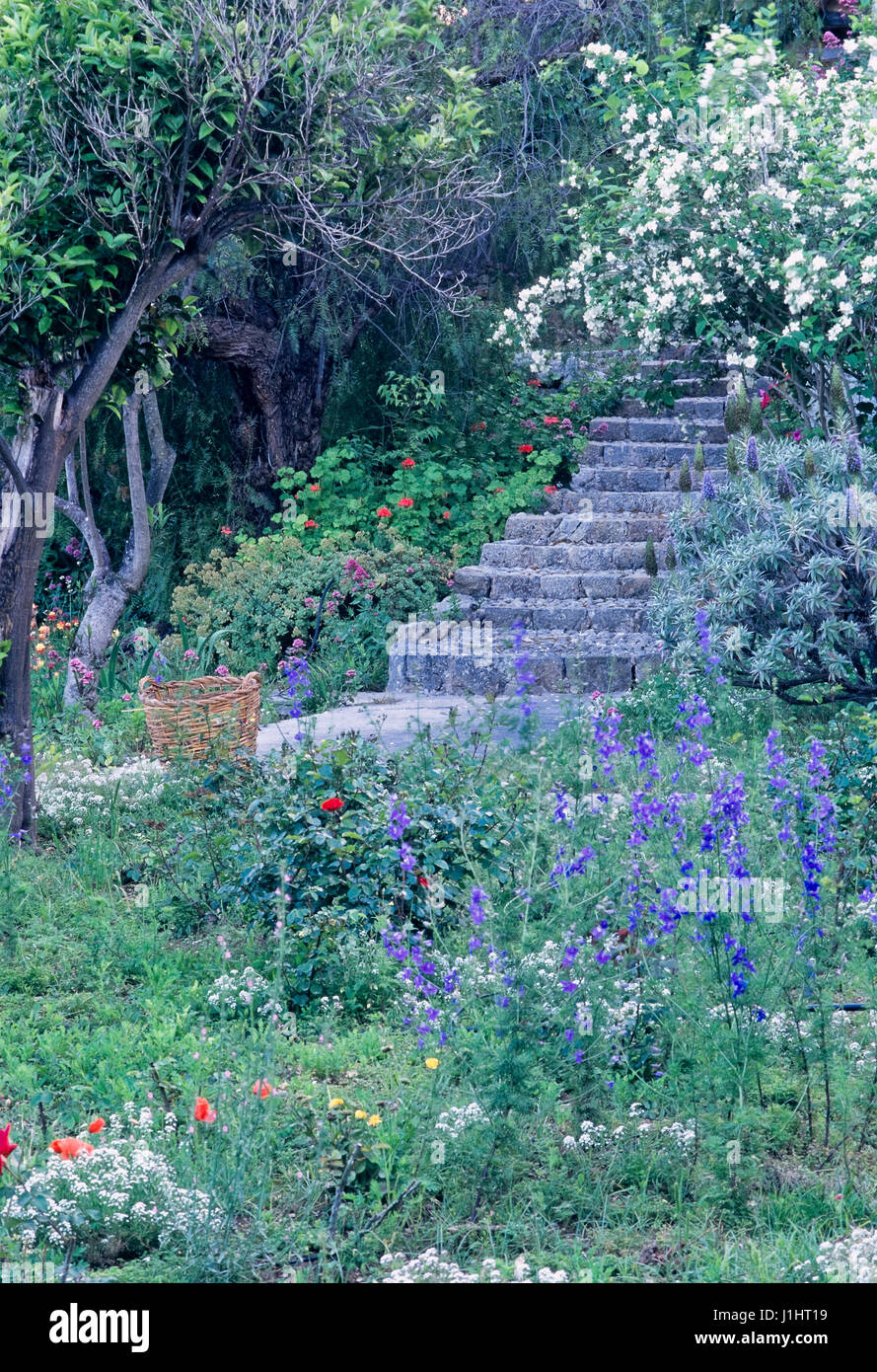 Scale in giardino. Foto Stock