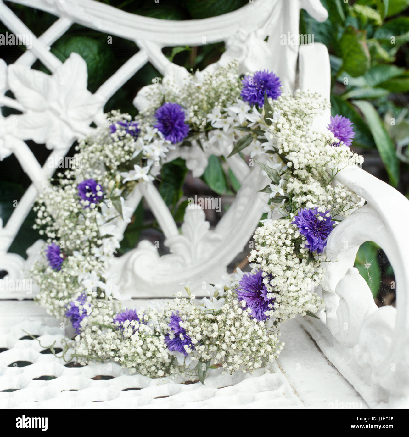Viola e bianco corona. Foto Stock