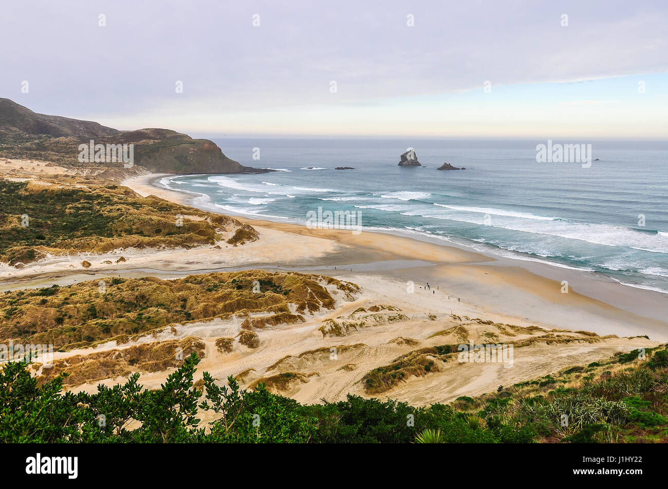 Vista la quasi vuoto spiaggia nella baia di Sandfly nella penisola di Otago, Nuova Zelanda Foto Stock