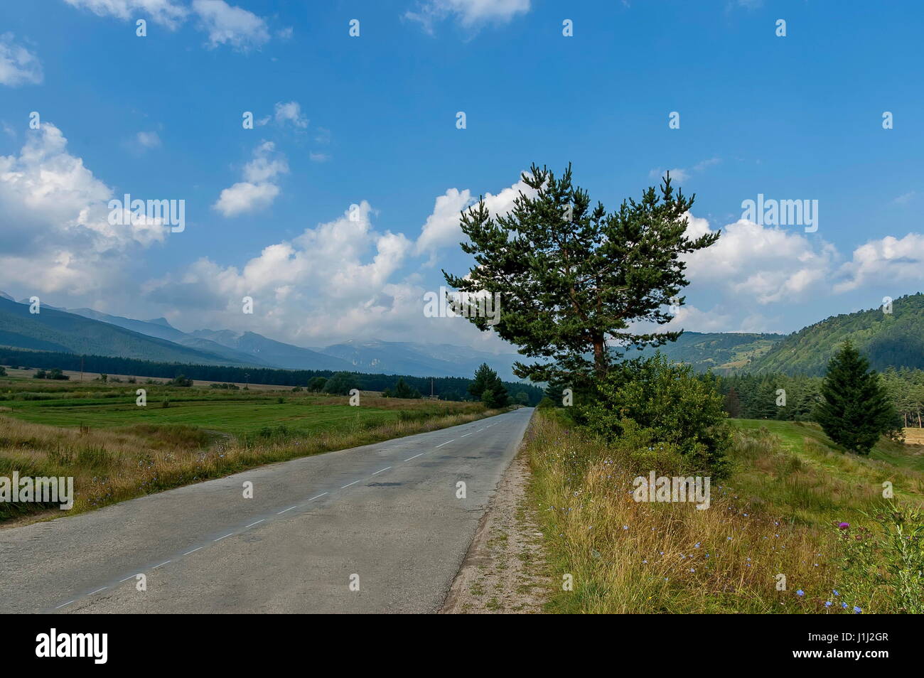 Majestic Mountain top ricoperta con la foresta di conifere, valley, glade e strada, montagna Rila, Bulgaria Foto Stock