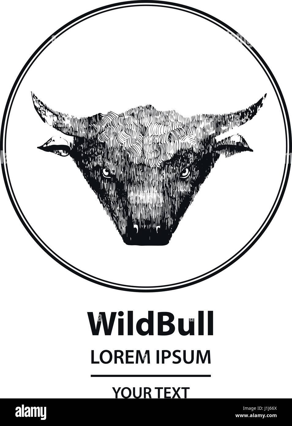 Testa di Toro. Disegnata in uno stile grafico. Vintage vettore illustrazione di incisione Illustrazione Vettoriale