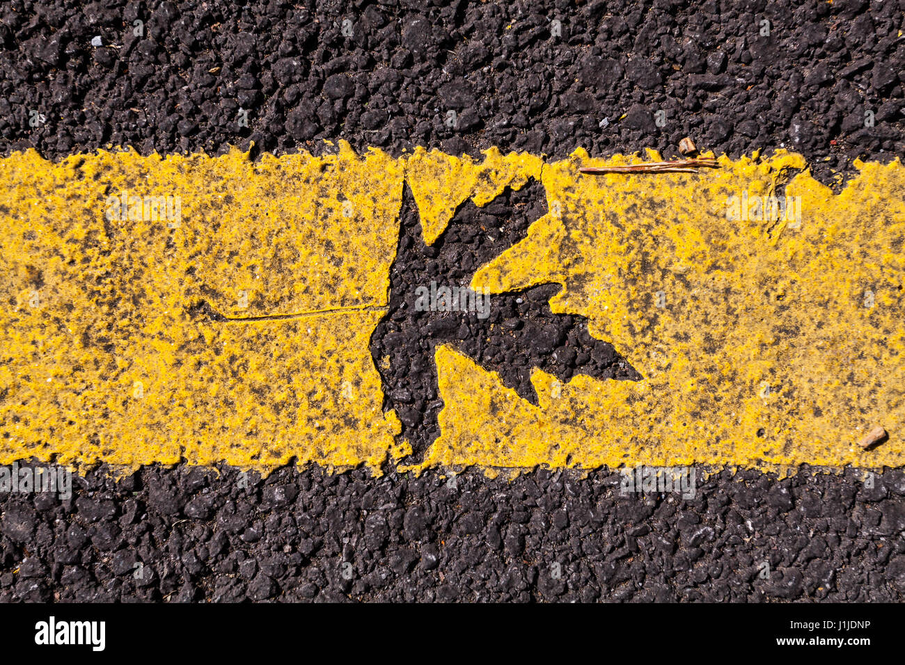 Foglia di platano impresse sulla linea gialla Foto Stock