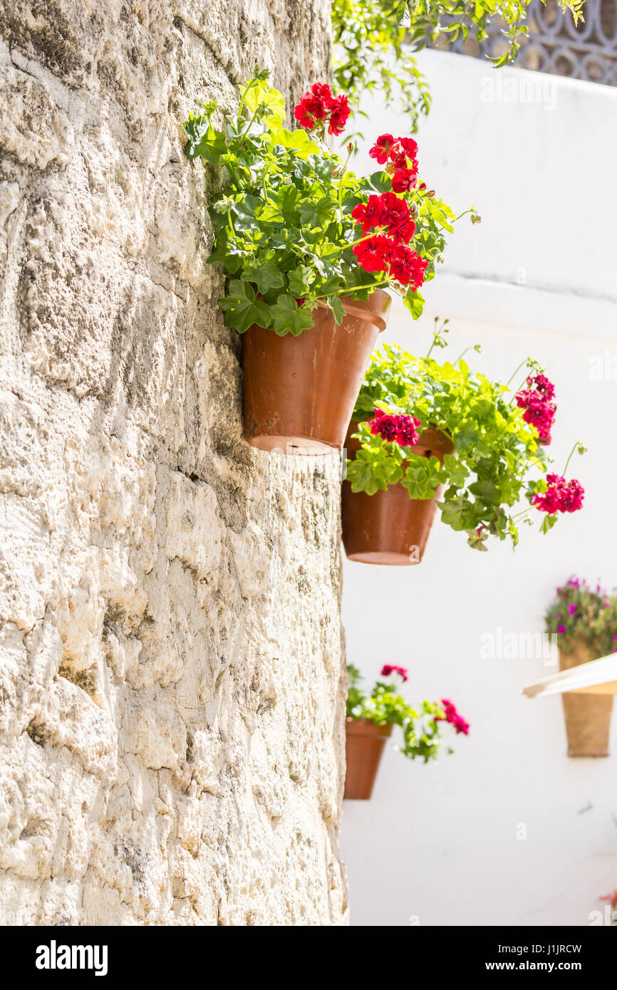 Vaso di fiori appeso ad una parete in Vejer de la Frontera, Andalusia,  Spagna Foto stock - Alamy