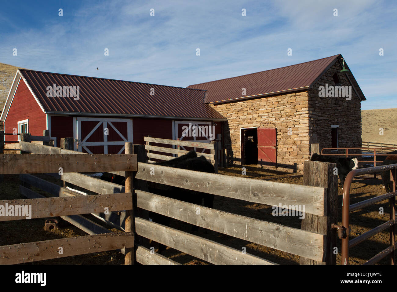Corral offre in primo piano per il vecchio fienile. Rosso scarlatto e bianco telaio rifilato oltre raddoppia la capacità della classica struttura in pietra. Foto Stock