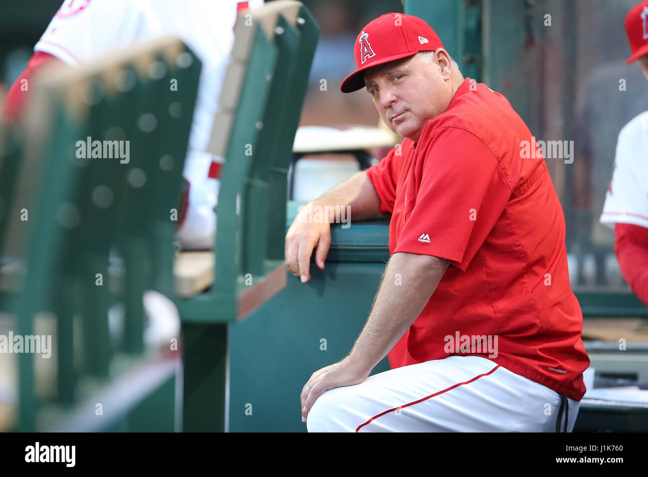 Aprile 21, 2017: Los Angeles Angeli manager Mike Scioscia #14 sì i suoi giocatori in piroga prima nel gioco tra il Toronto Blue Jays e Los Angeles gli angeli di Anaheim, Angel Stadium di Anaheim, CA, fotografo: Pietro Joneleit Foto Stock