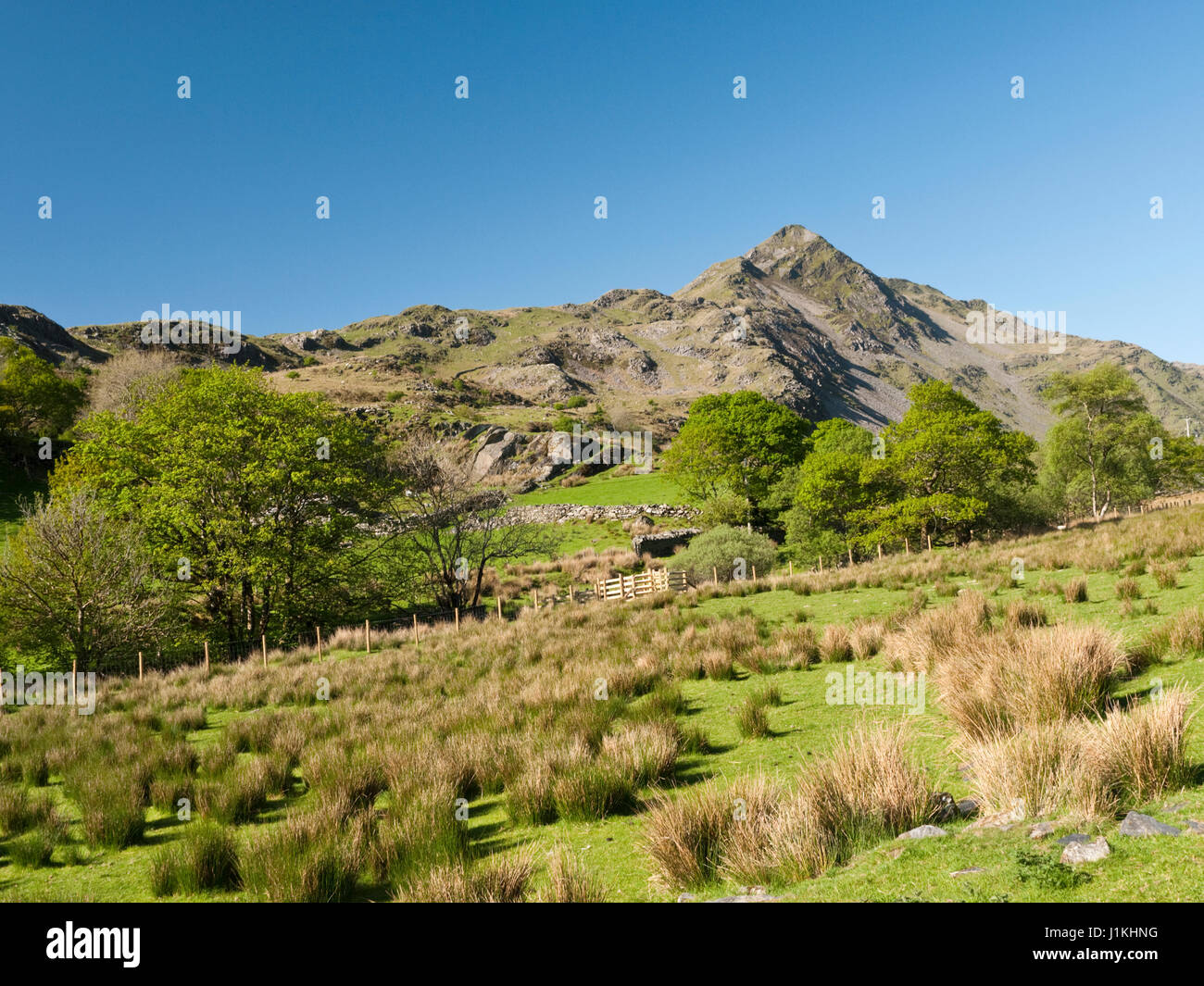 Vertice Cnicht e SW ridge visto da Cwm Croesor nelle montagne Moelwyn, Snowdonia National Park, il Galles del Nord Foto Stock