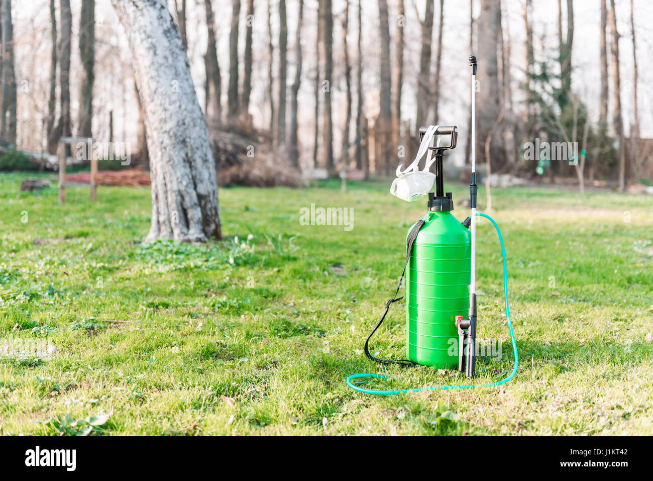 Irroratrice verde sul giardino di primavera Foto Stock