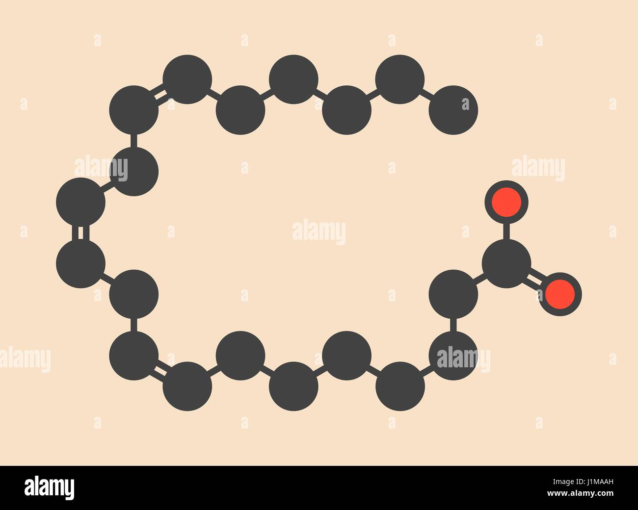 Diomo-acido gamma-linolenico (DGLA) Molecola di acido grasso. Omega 6 di  acido grasso che è prodotto nel corpo da acido gamma-linolenico. Stilizzata  di scheletro di formula (struttura chimica): gli atomi sono mostrati come