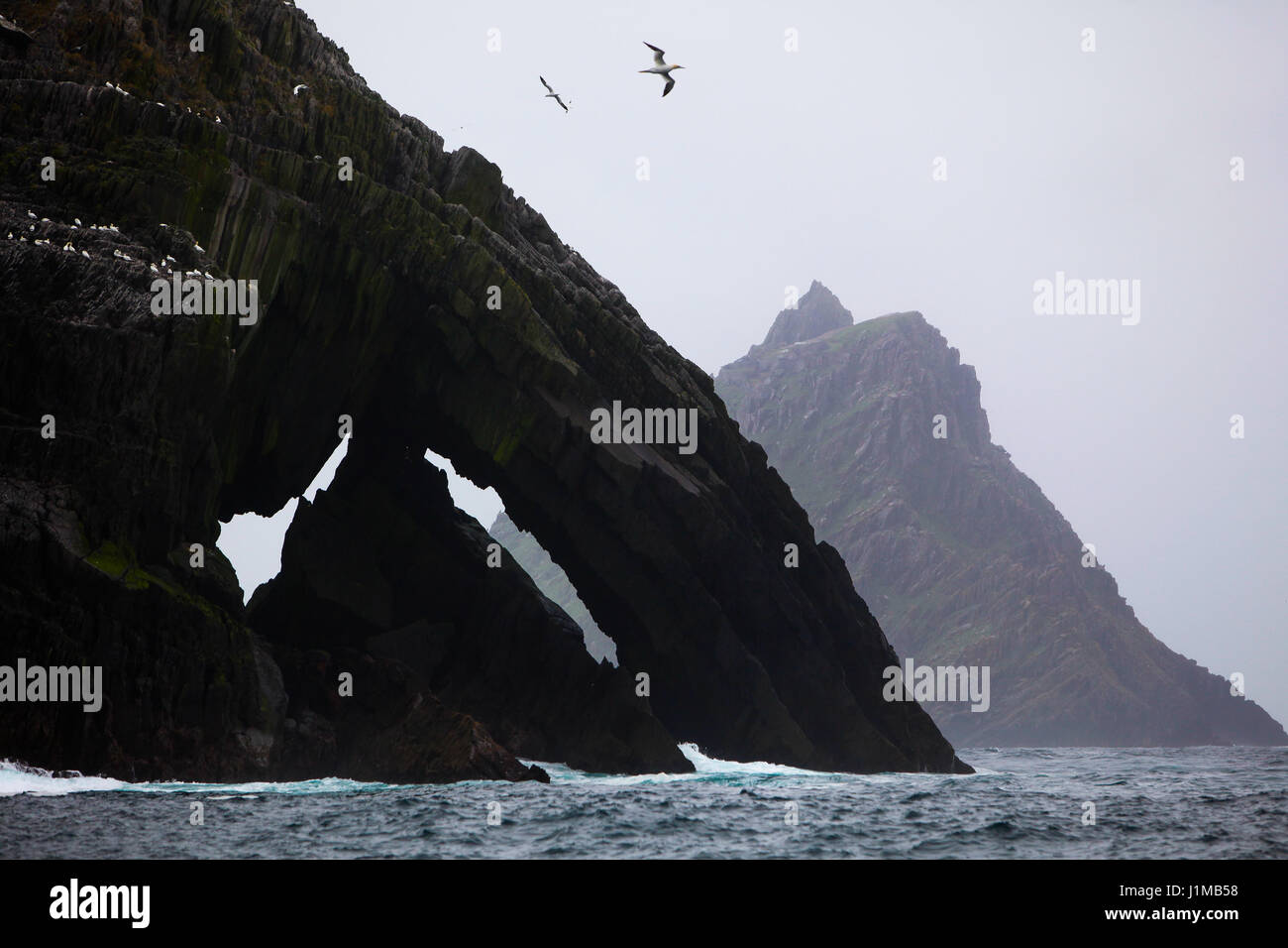 Il viaggio in barca da Portmagee, nella contea di Kerry alle Isole Skellig con Scellig Michael, utilizzato nel film Star Wars nella distanza. Foto Stock