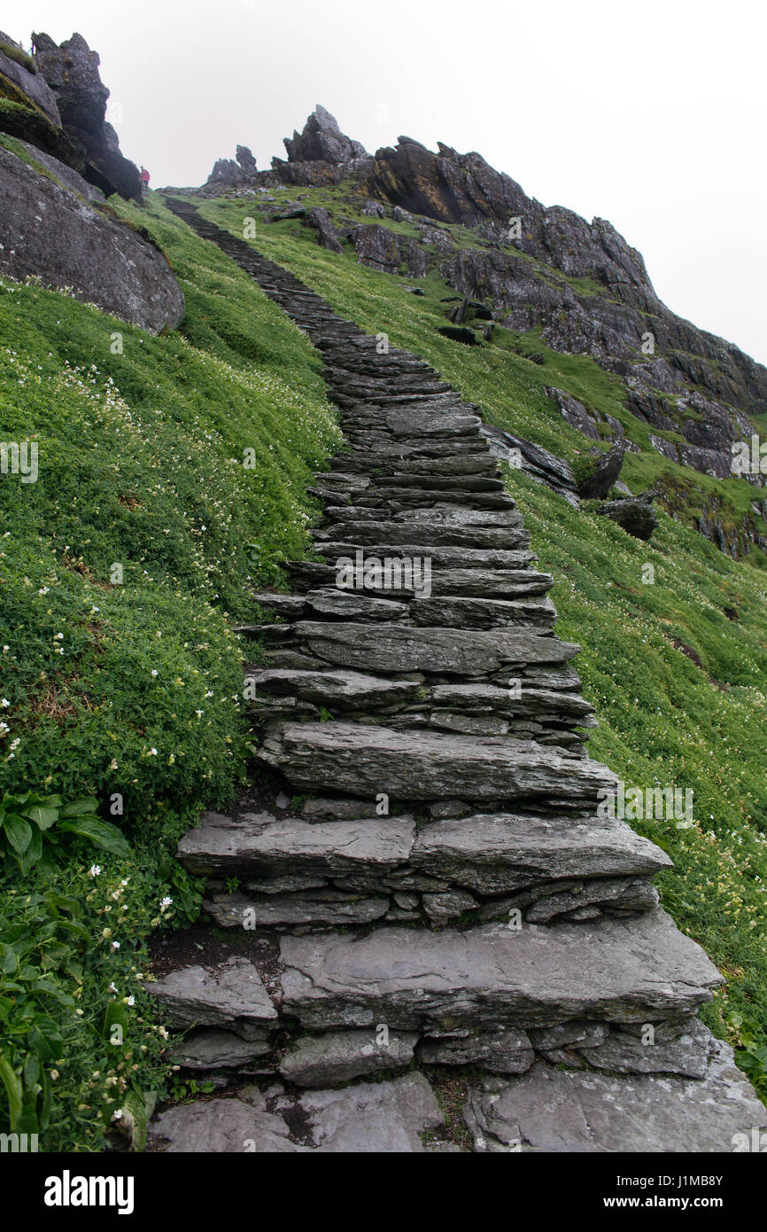 Il ripido sentiero lastricato su Skellig Michael, nella contea di Kerry. L'isola fu un monastero 1500 anni fa e ora è un sito Patrimonio Mondiale dell'Unesco Foto Stock