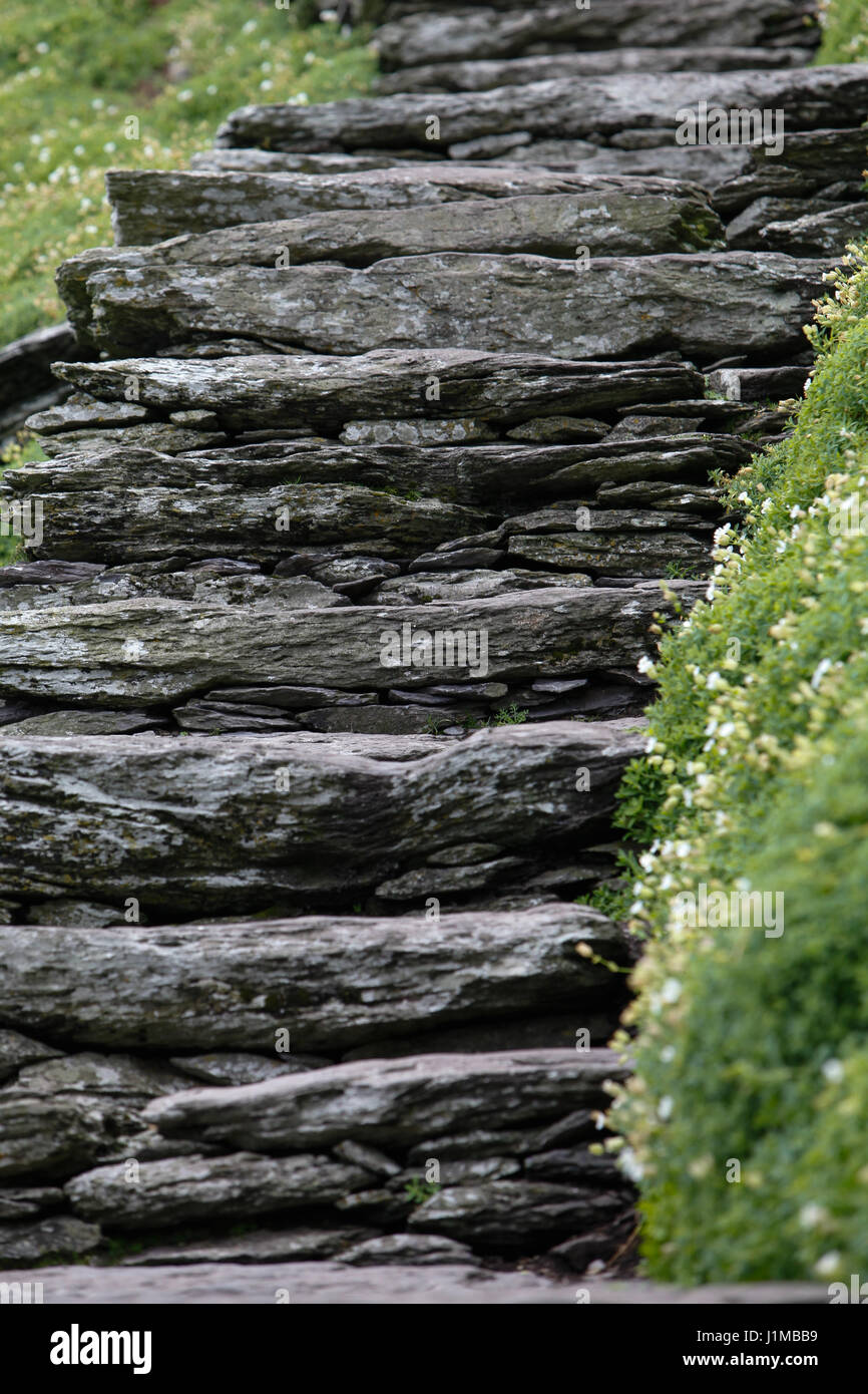Il ripido sentiero lastricato su Skellig Michael, nella contea di Kerry. L'isola fu un monastero 1500 anni fa e ora è un sito Patrimonio Mondiale dell'Unesco Foto Stock