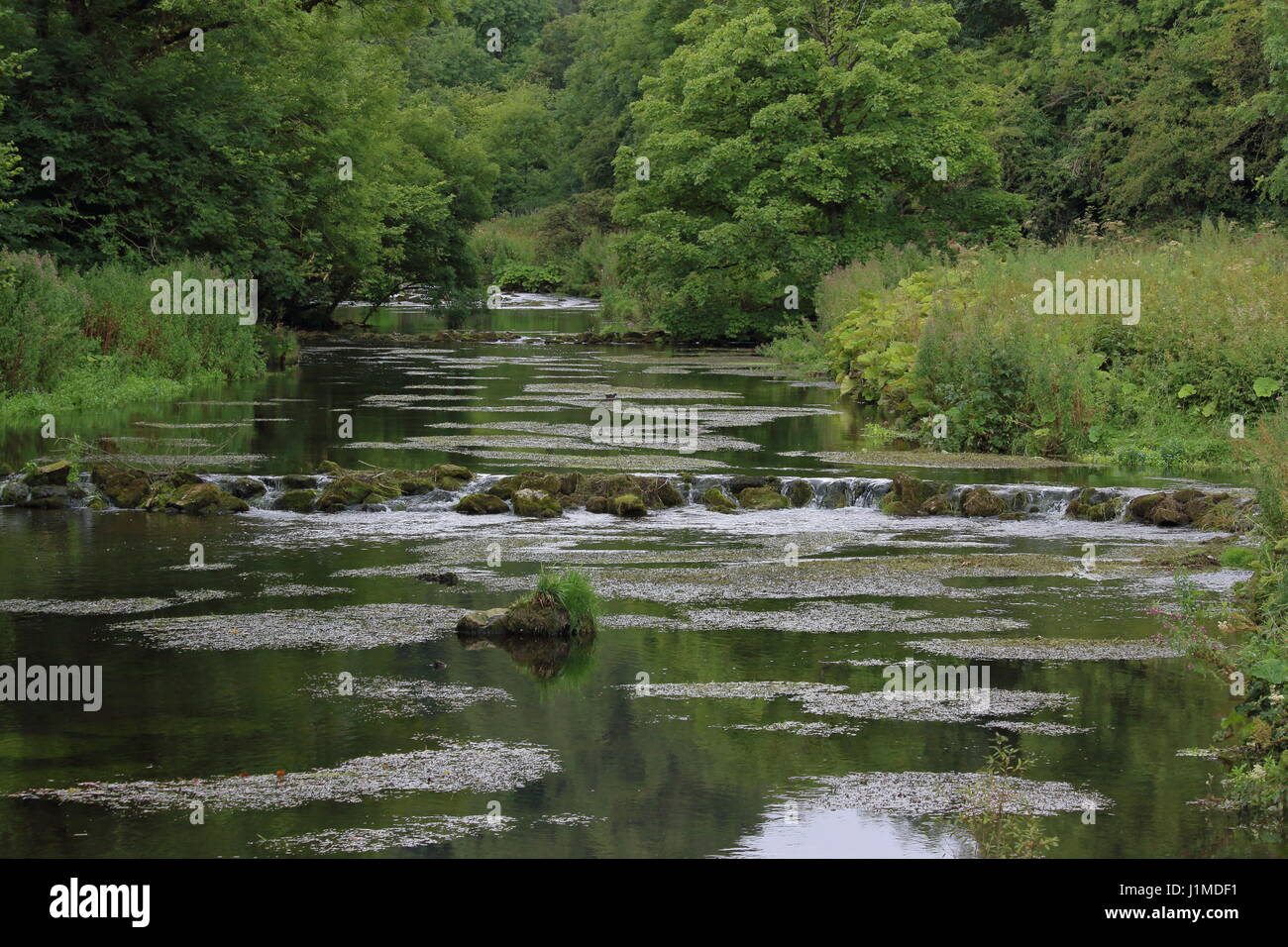 Accordi di Wye River vicino a Bakewell nel distretto di Peak; Regno Unito Foto Stock