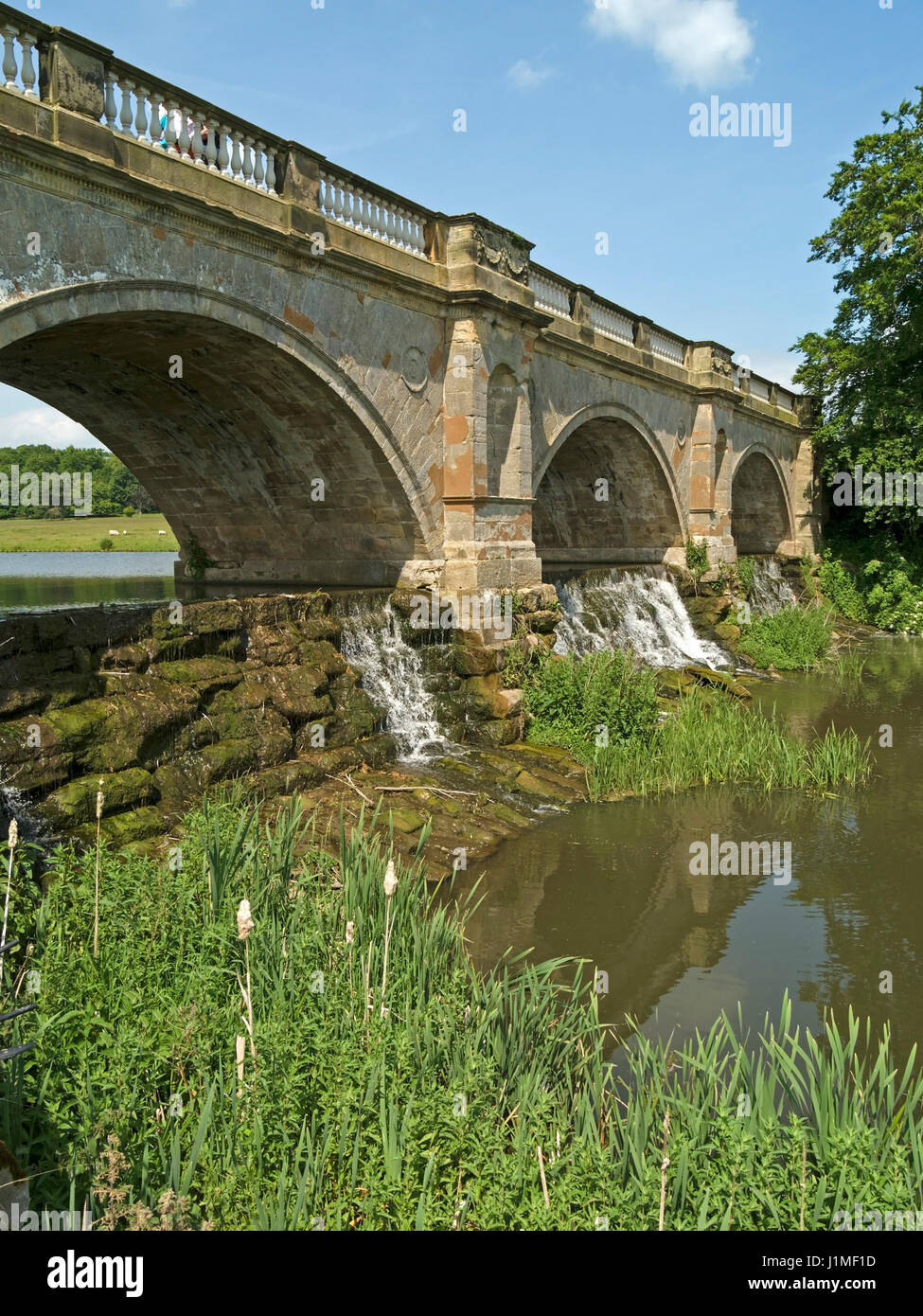Kedleston ponte e sulle cascate, Kedleston, Derbyshire, England, Regno Unito Foto Stock