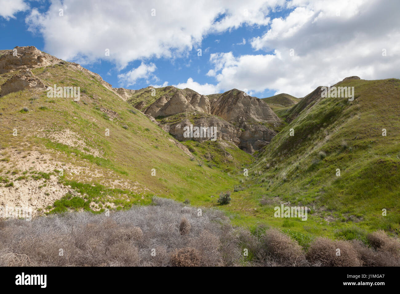 Contea di Franklin, Washington: Tumbleweeds riuniti in un burrone lungo il fiume Columbia al White Bluffs in Hanford raggiungono monumento nazionale. Attraverso Foto Stock