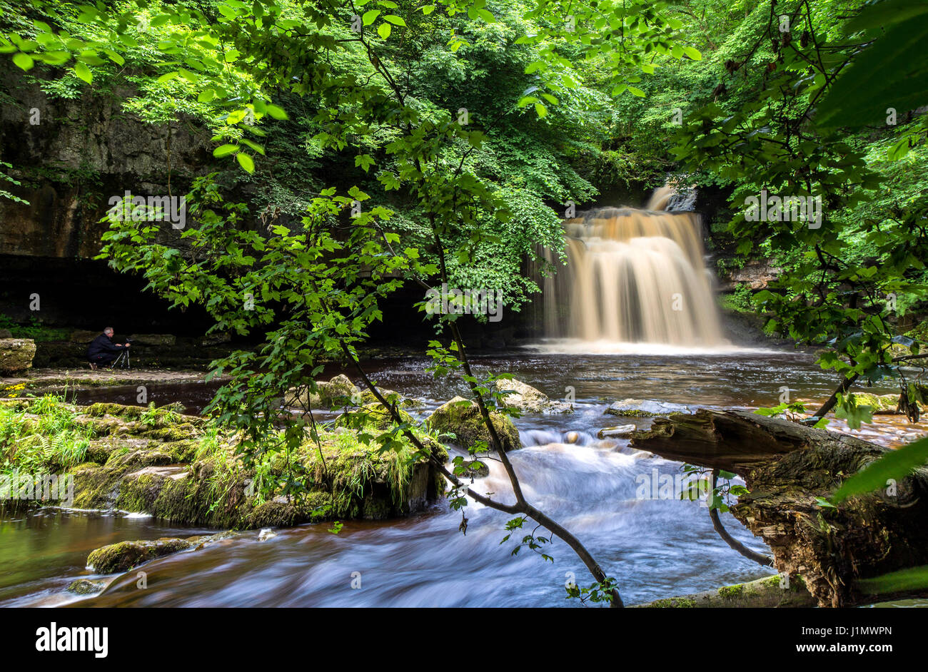 Di West Burton cascata, Wensleydale, Yorkshire Dales, Inghilterra Foto Stock