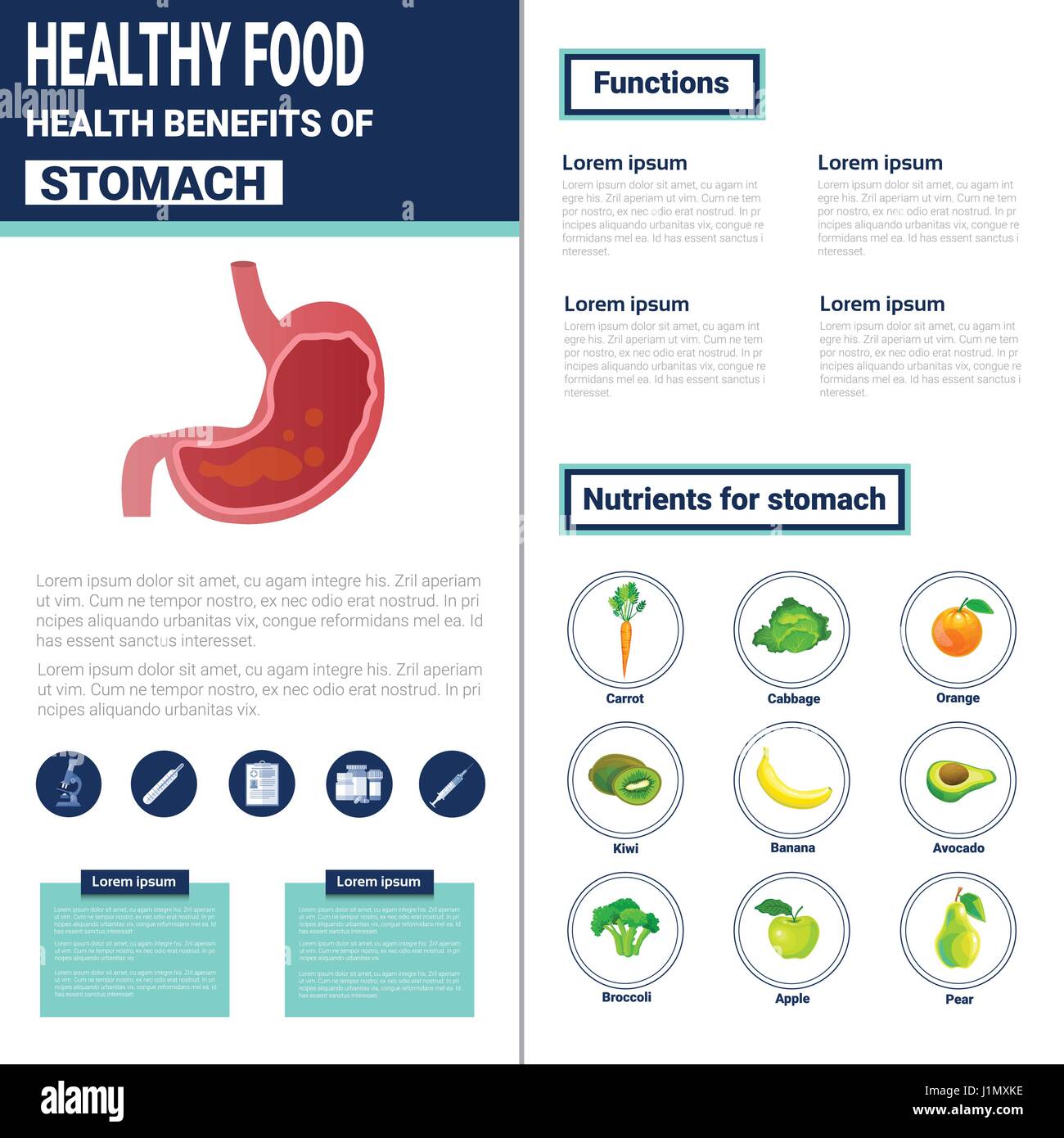 Cibo sano Infographics prodotti con vitamine e minerali, nutrizione e salute il concetto di stile di vita Illustrazione Vettoriale