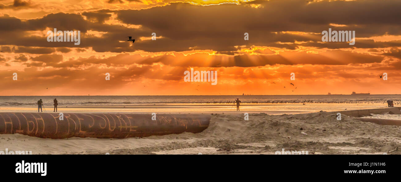 Windy sunrise su Galveston East Beach Foto Stock