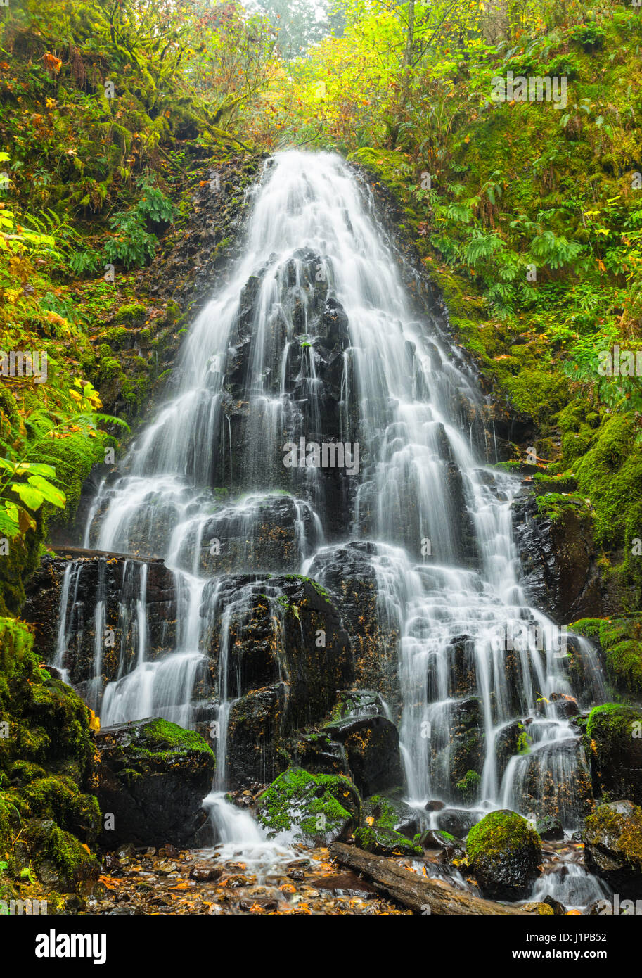 Le Fairy Falls, Columbia Gorge, Oregon Foto Stock