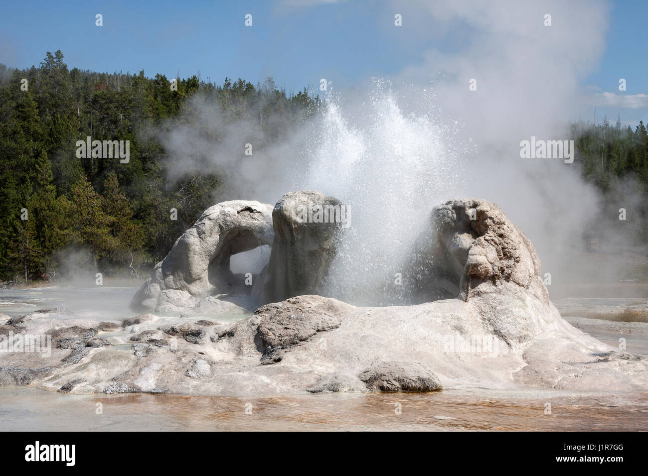 Grotto Geyser, Upper Geyser Basin, il Parco Nazionale di Yellowstone, Wyoming USA Foto Stock