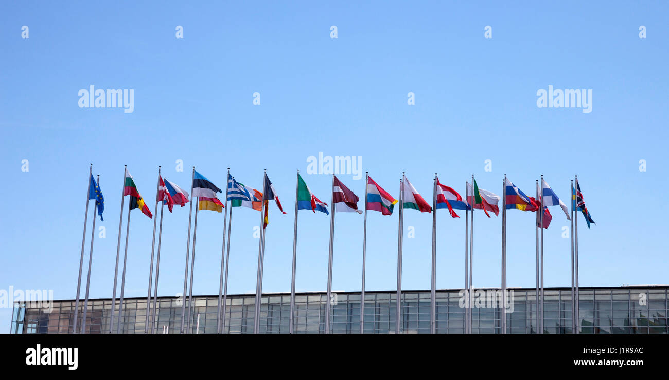 Bandiere internazionali, cielo blu, Parlamento europeo, Strasburgo, Alsazia, Francia Foto Stock