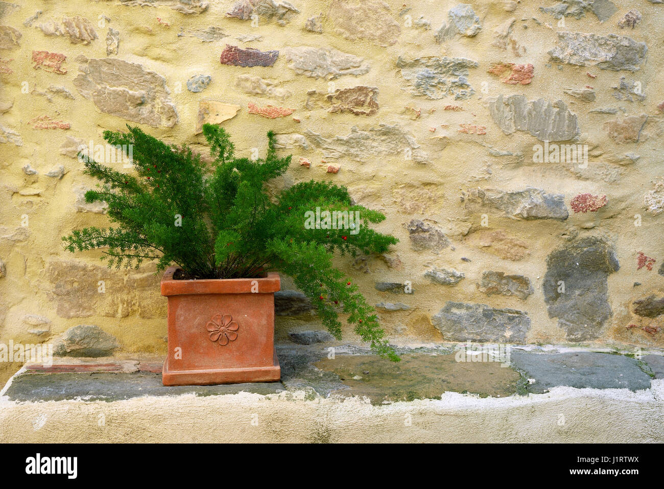 Decorazioni parete terracotta da giardino bassorilievo da esterno frutta limoni