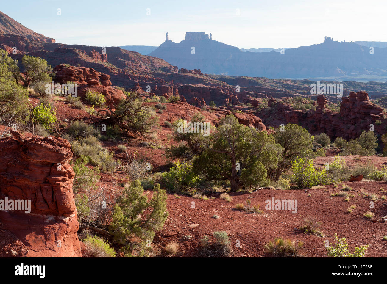 La vista a ovest attraverso il Richardson anfiteatro (aka professor Valley) da Fisher Towers, vicino a Moab, Utah. Foto Stock