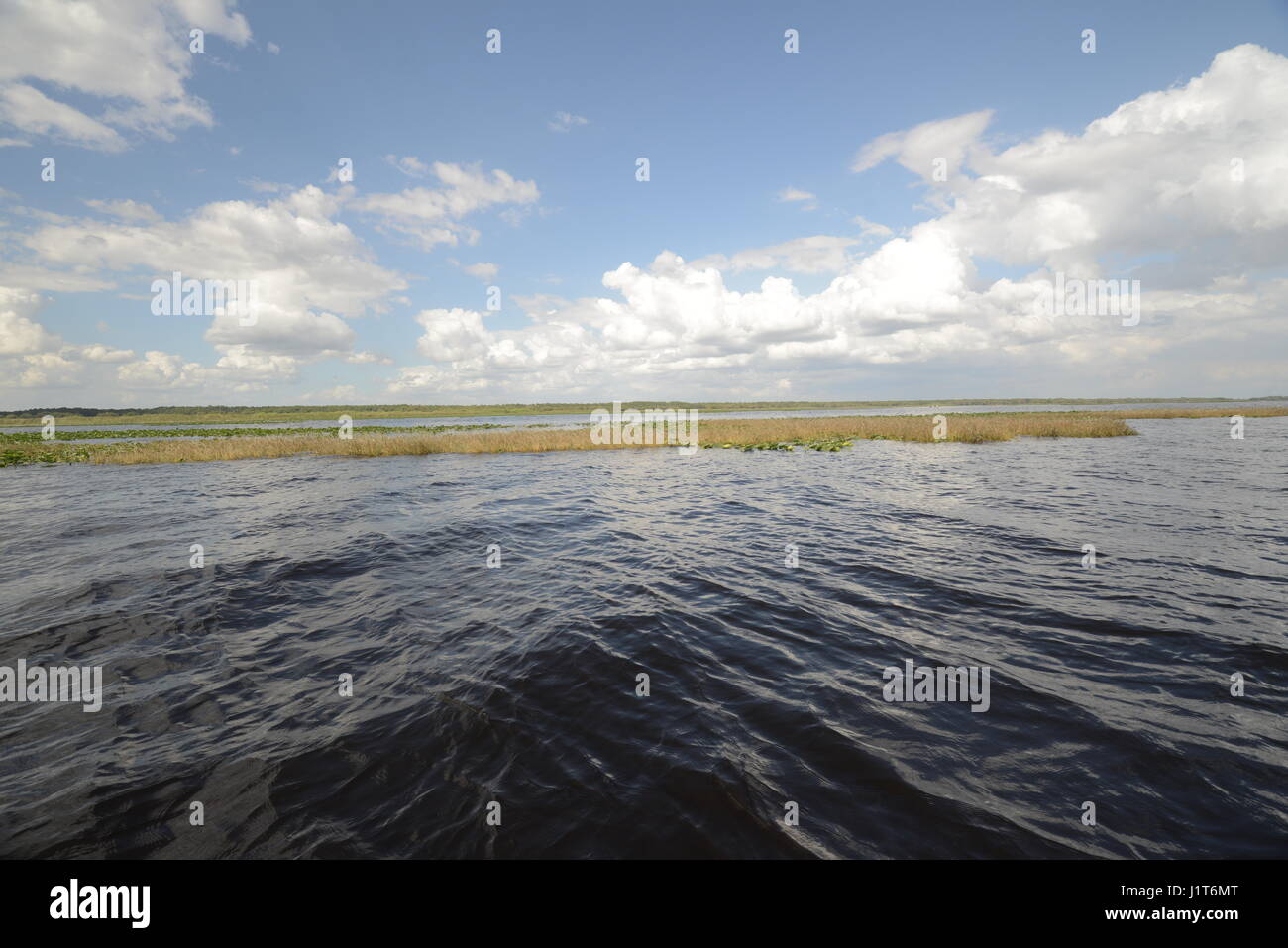 Acqua swamp metà stato della Florida USA Foto Stock