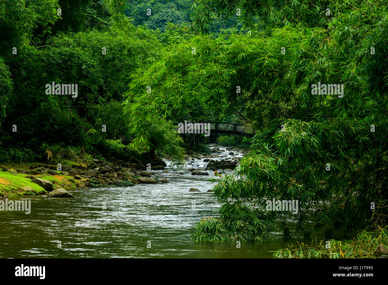 Vista del paesaggio del Lokkhonchara da Goainghat. Sylhet, Bangladesh Foto Stock