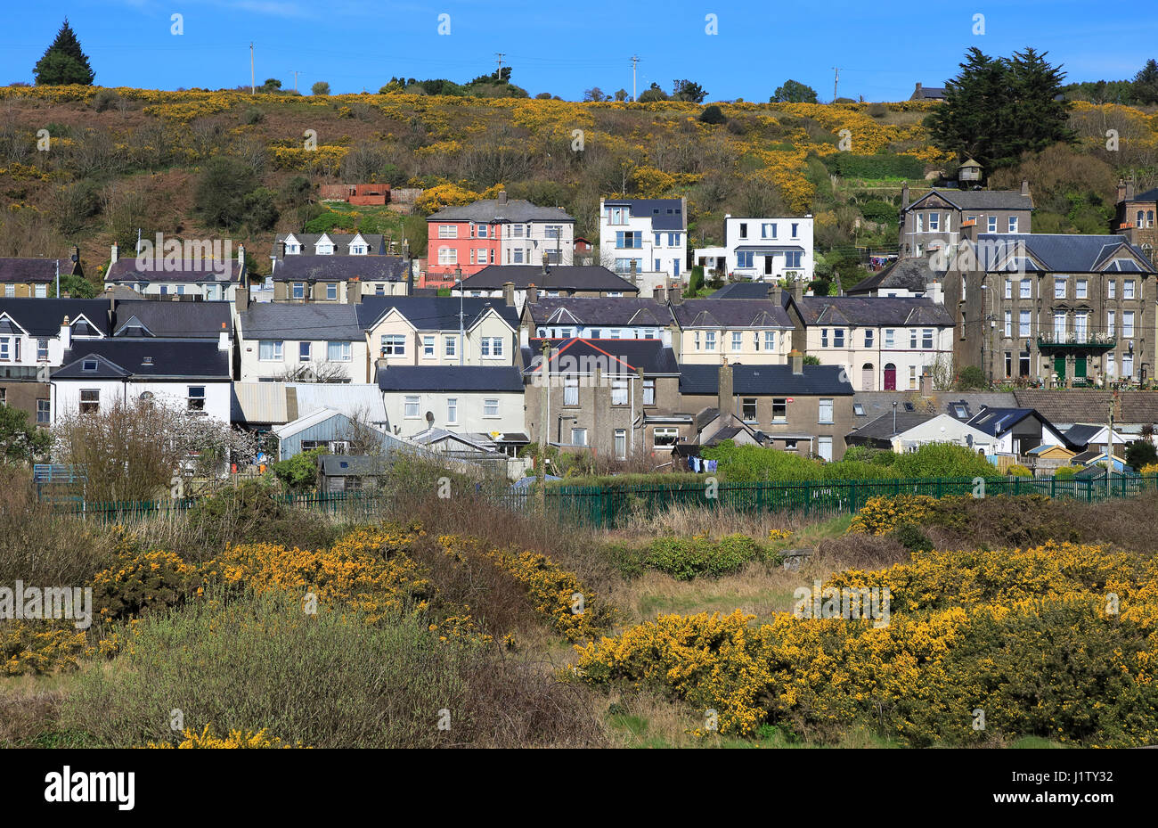 File di case storiche in un ambiente rurale, Youghal, Contea di Cork, Irlanda, Repubblica irlandese Foto Stock