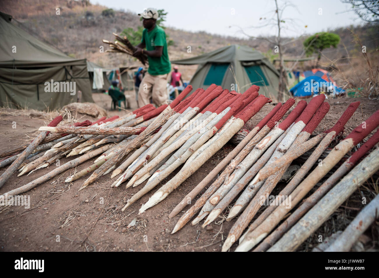 HALO Trust deminers preparare pali utilizzati per delimitare un campo minato nei pressi di Cahora Bassa, Mozambico. Il paese è stato dichiarato libero dalle mine nel 2015 Foto Stock
