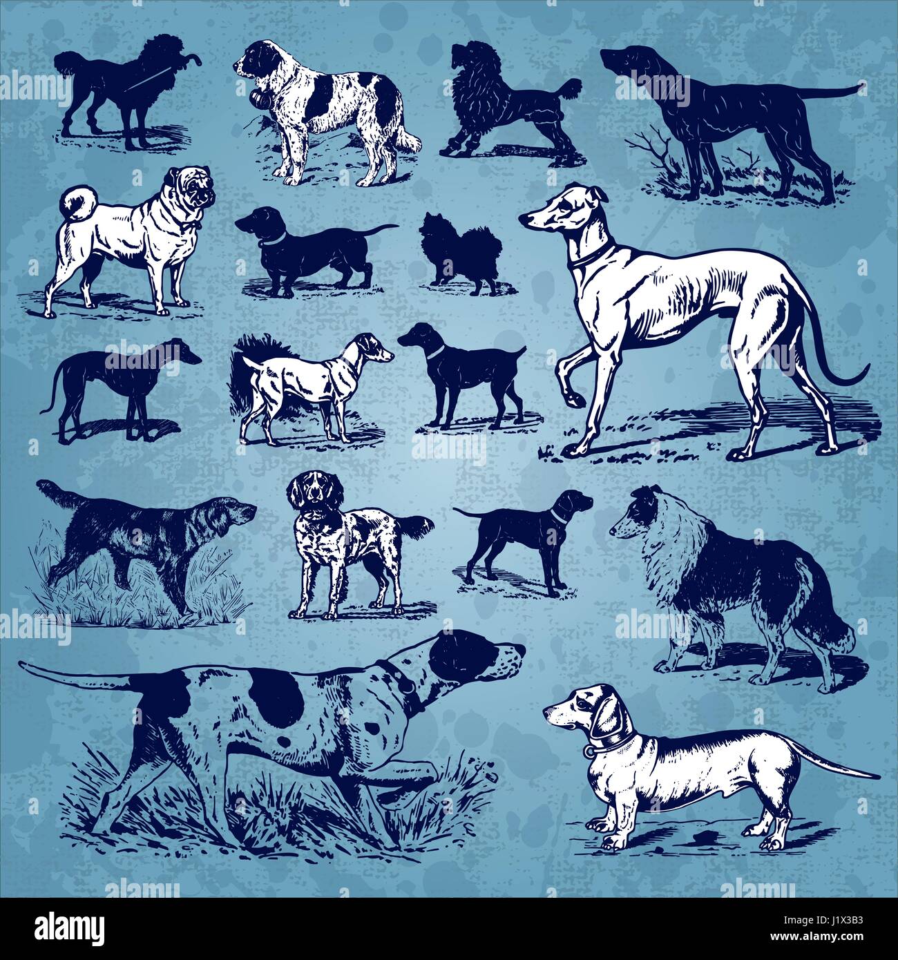 Insieme di antiche illustrazioni cani (vector) Illustrazione Vettoriale