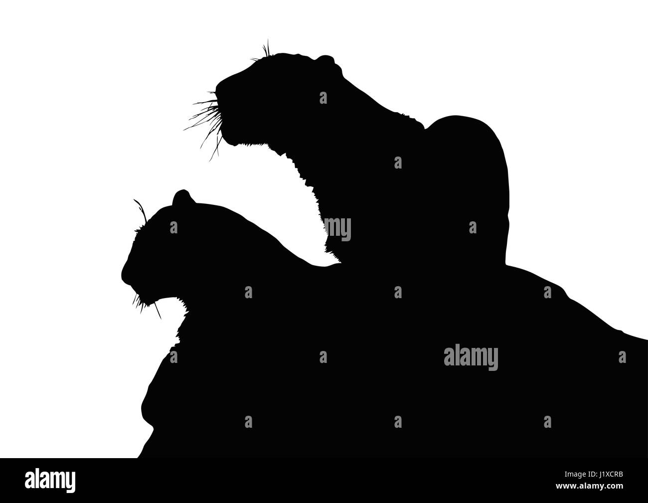 Ritratto Dettagliato Silhouette di Giovani Fratelli di Leopard Illustrazione Vettoriale