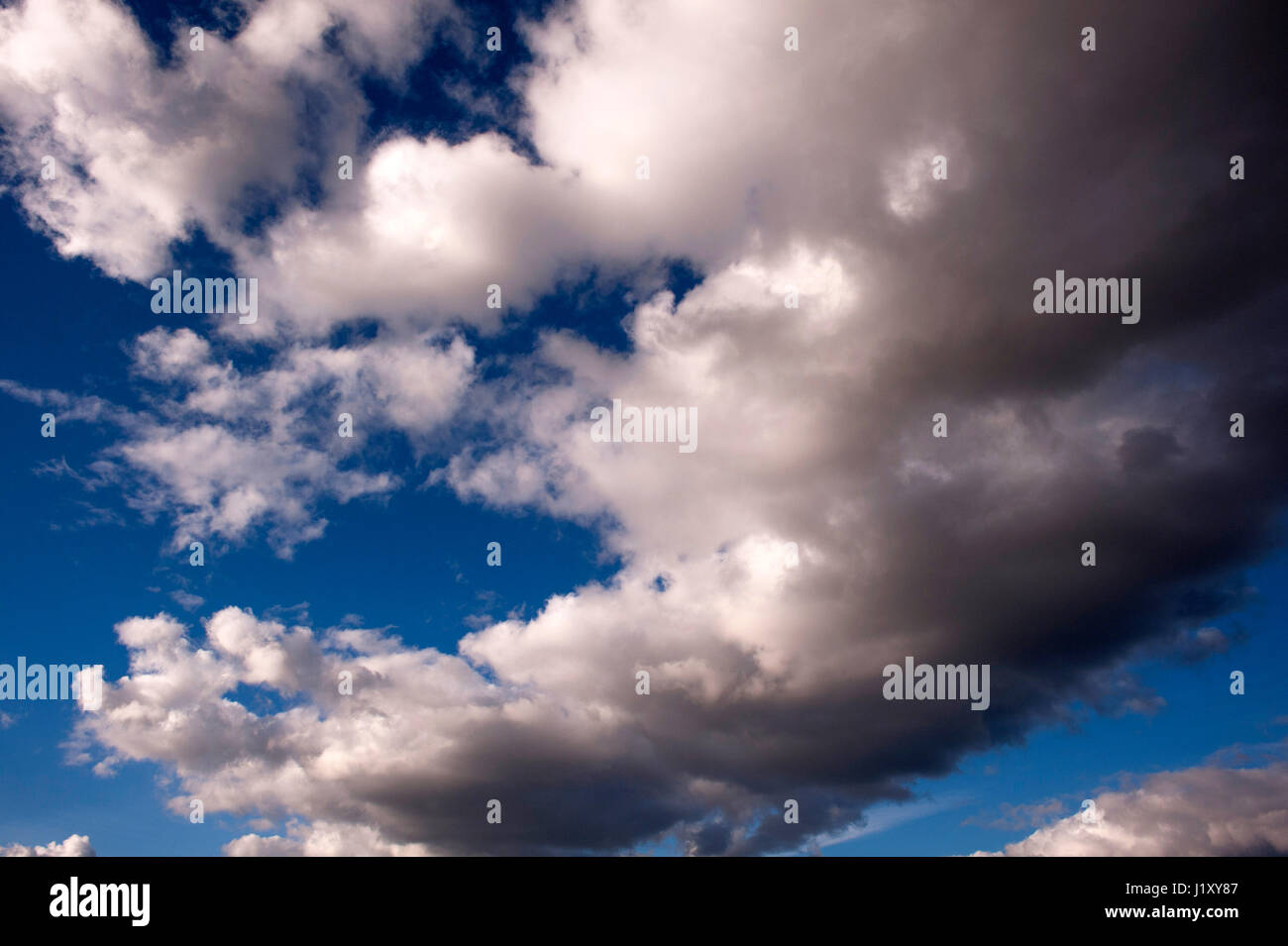 Cumulus nubi nel cielo blu fairweather nuvole su una luminosa giornata di sole Foto Stock