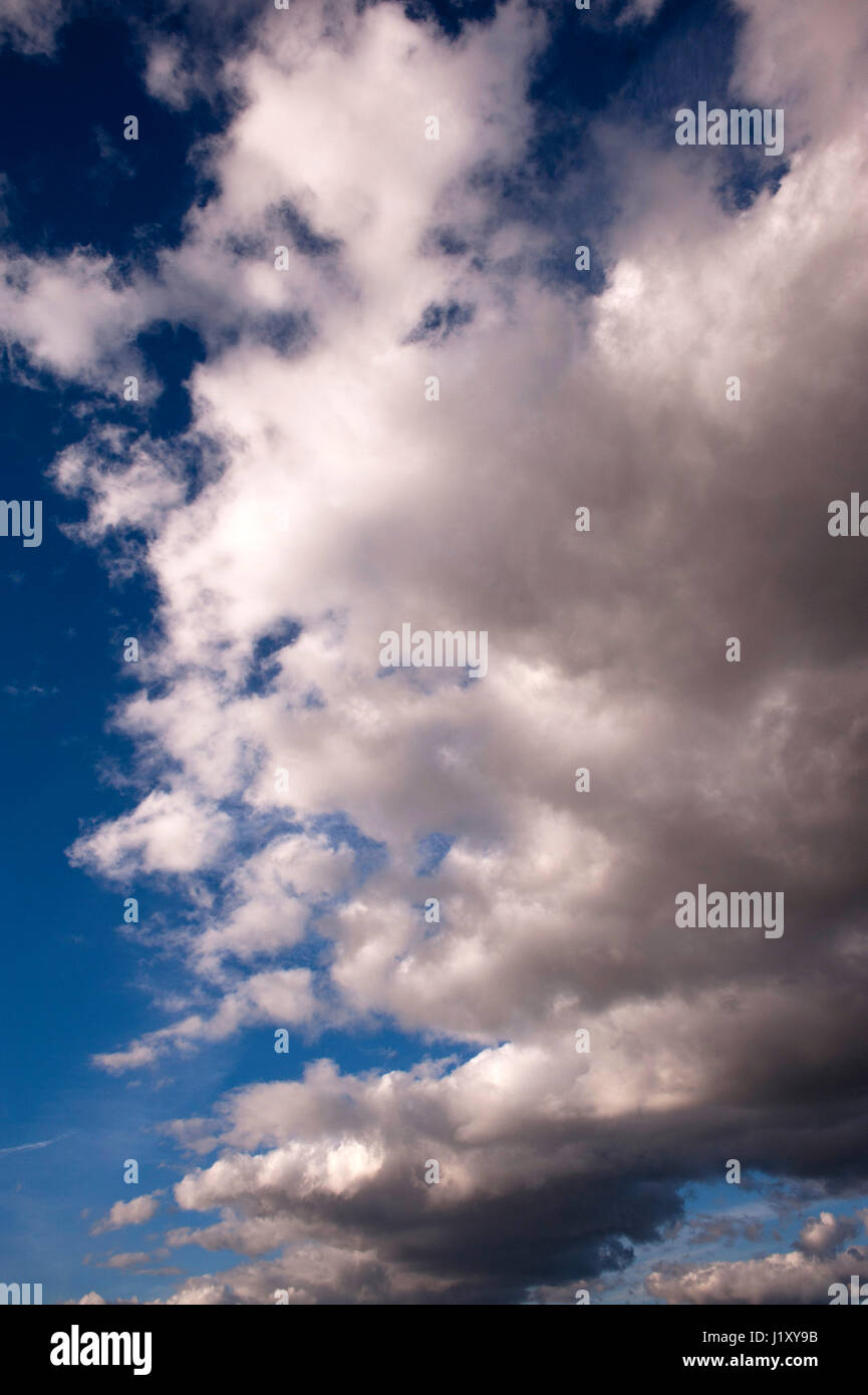 Cumulus nubi nel cielo blu fairweather nuvole su una luminosa giornata di sole Foto Stock