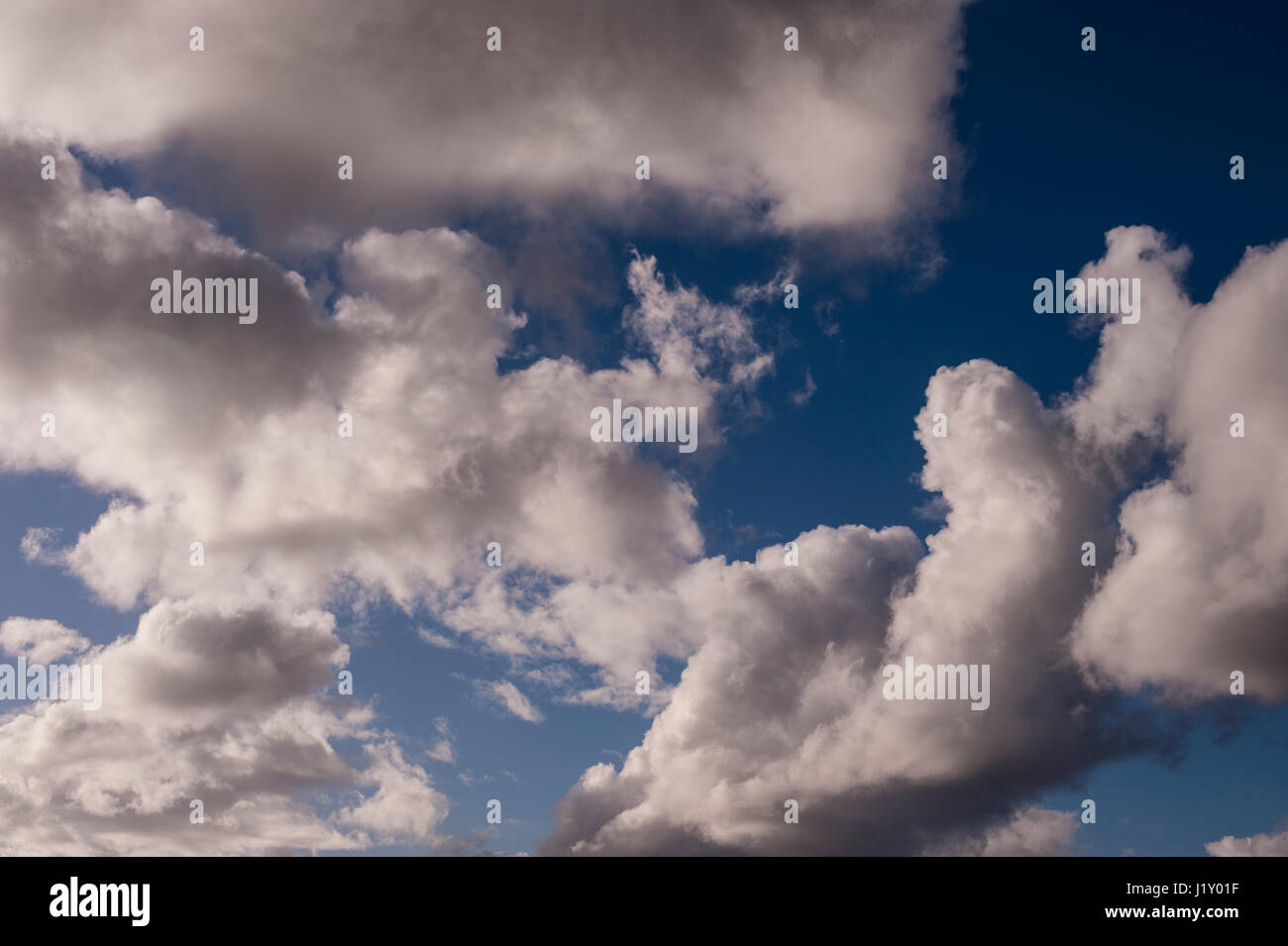 Cumulus nuvole con cieli blu Foto Stock