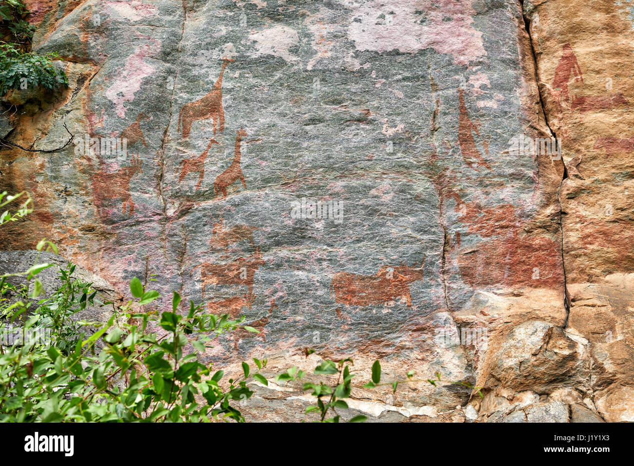 Arte rupestre, antica San dipinti, Tsodilo Hills, Botswana, Africa Foto Stock