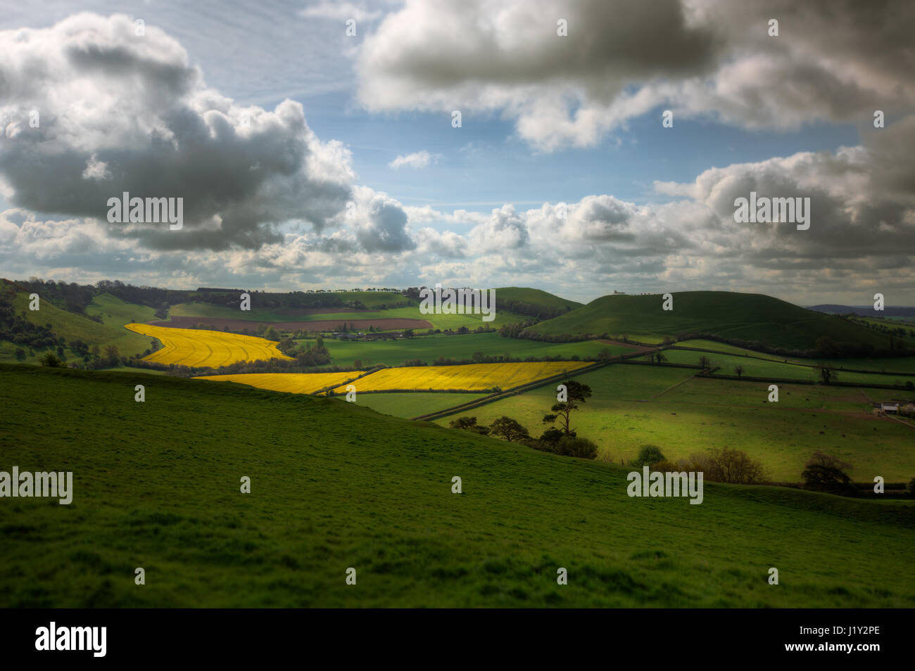 Vista del paesaggio rurale dalla sommità del Castello di Cadbury nel Somerset, Inghilterra, Regno Unito Foto Stock