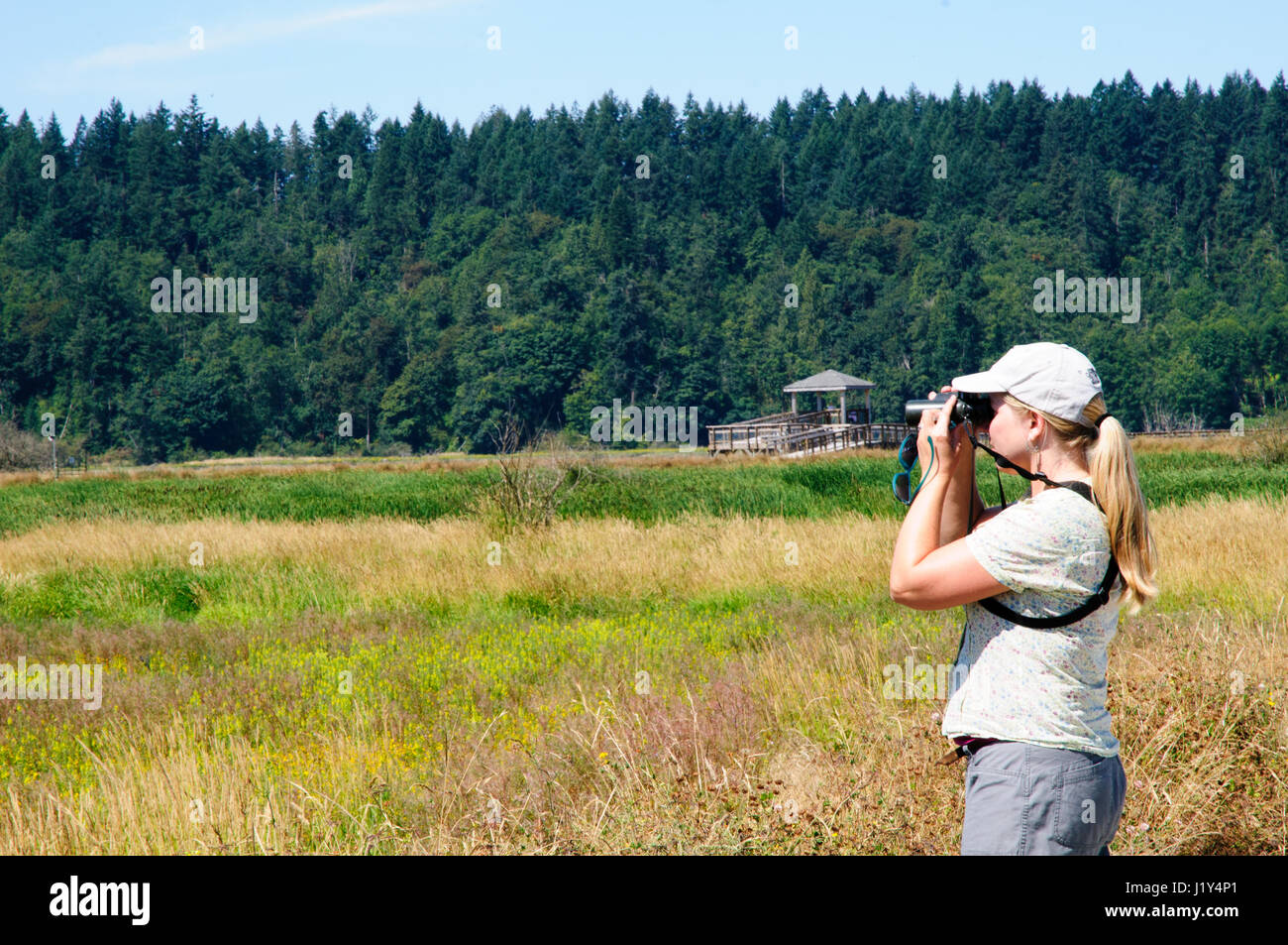 Donna che guarda attraverso il binocolo, Nisqually National Wildlife Refuge, Washington, Stati Uniti d'America Foto Stock