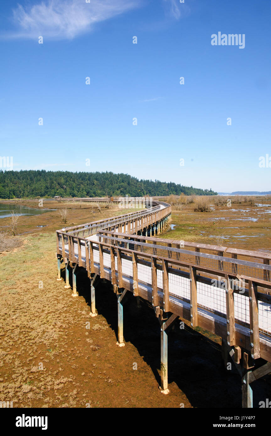 La passerella piattaforma di osservazione, Nisqually National Wildlife Refuge, Washington, Stati Uniti d'America Foto Stock