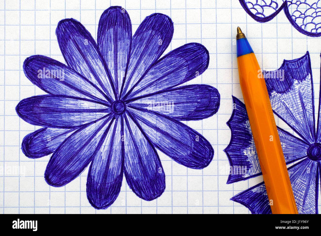 Close-up di disegnati a mano daisy fiore sul foglio di carta a scacchi con penna a sfera. Doodle stile. Foto Stock