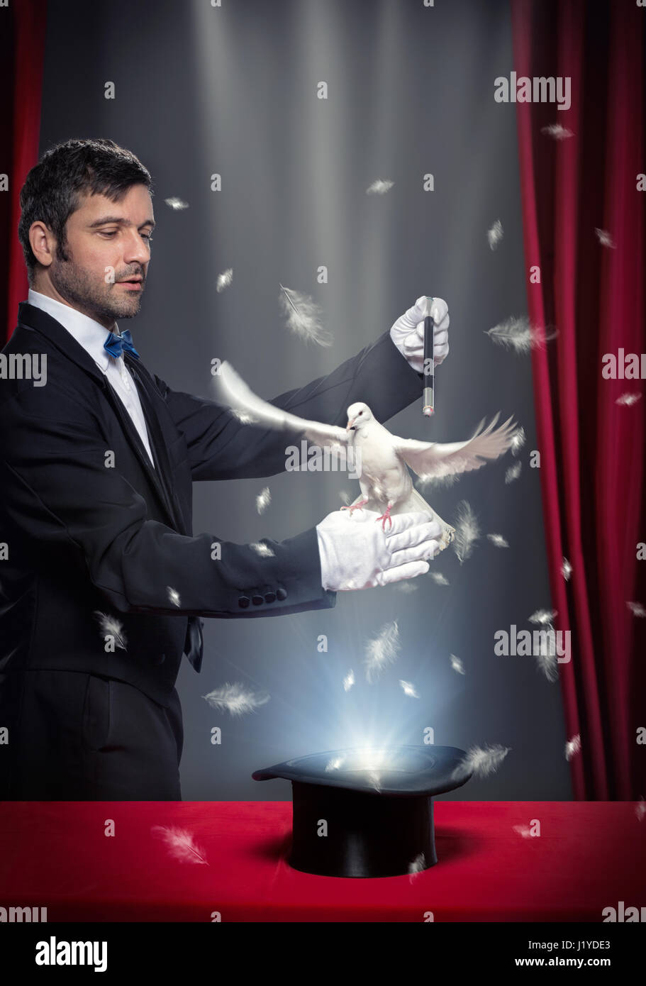 Il mago di eseguire la magia al piccione sul palco teatrale Foto Stock