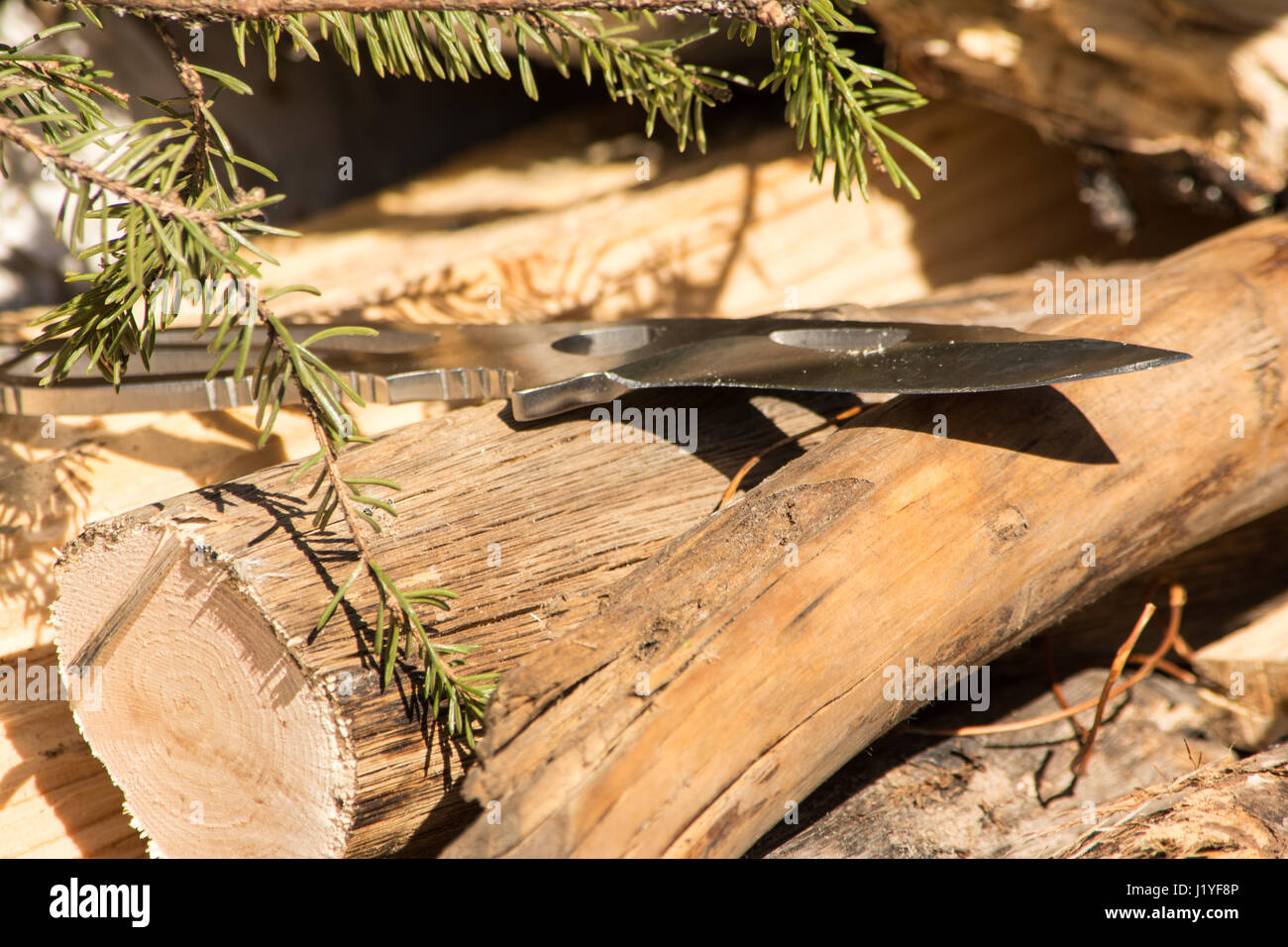 Acciaio coltello da caccia circondata da legno e alberelli scenario naturale. Foto Stock
