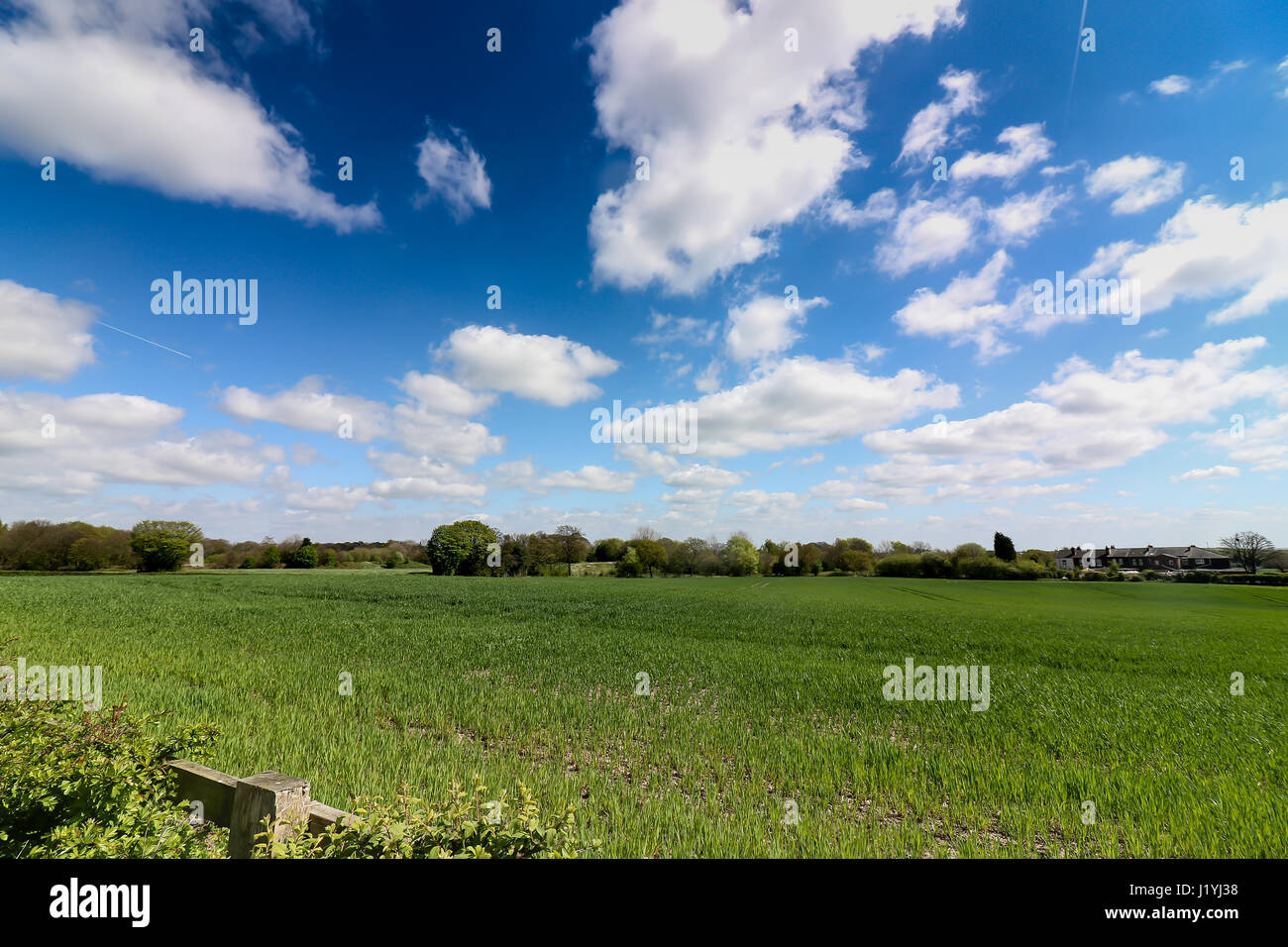 Ashton in Makerfield paesaggi aprile 2017, mostra varie spazio aperto,i campi e il cielo in un giorno di sole Foto Stock