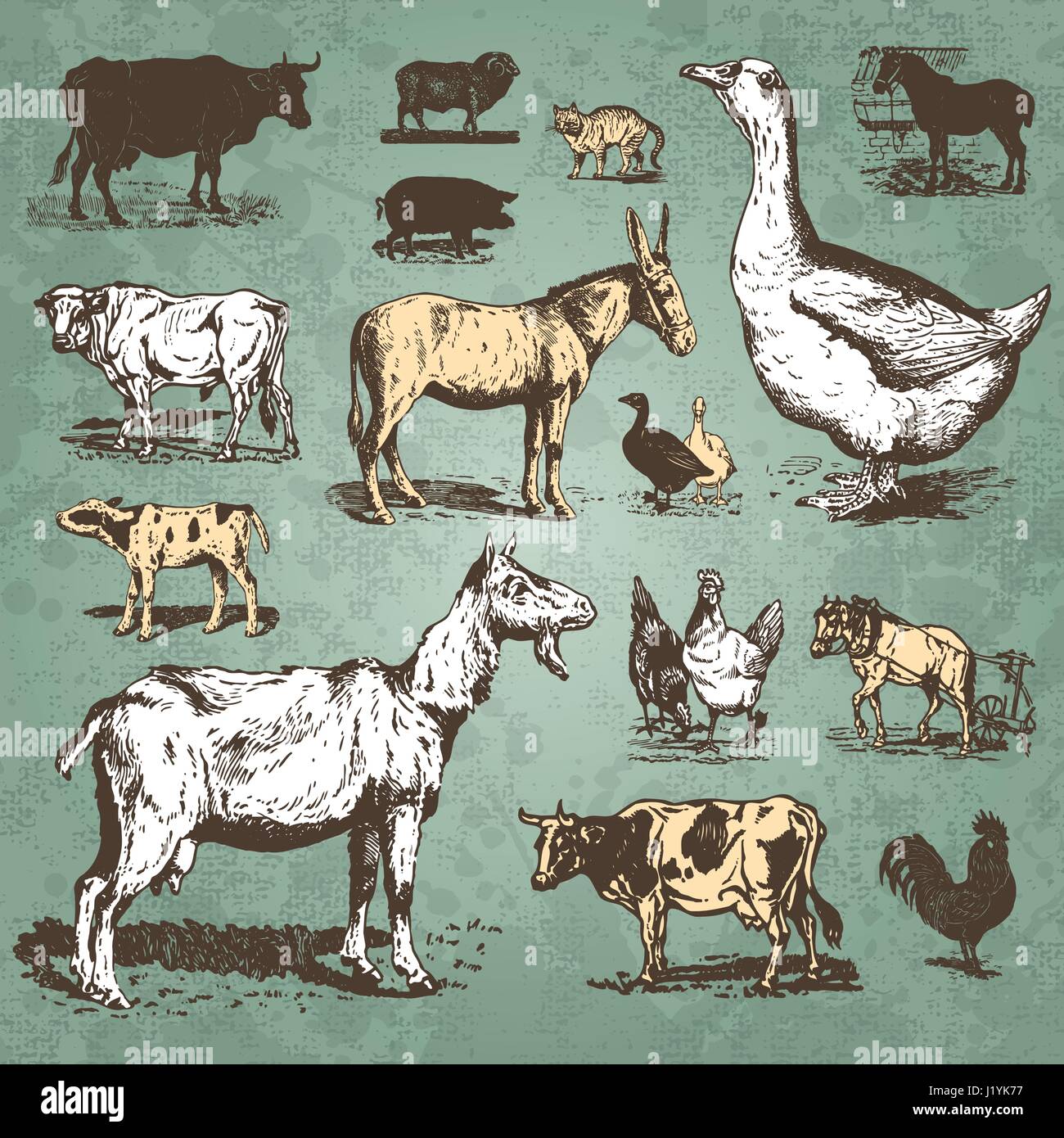 Set di animali da allevamento incisioni antiche (vector) Illustrazione Vettoriale