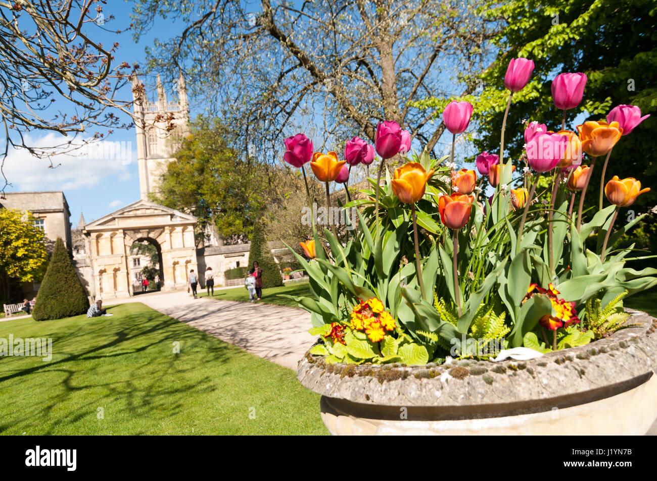 Oxford, Oxfordshire, Regno Unito. 22 apr, 2017. Regno Unito Meteo, Oxford, Oxfordshire, Regno Unito. Il 22 aprile 2017, le persone godono di giornata soleggiata in Oxford Botanic Garden e punting sul fiume Cherwell Credito: Stanislav Halcin/Alamy Live News Foto Stock