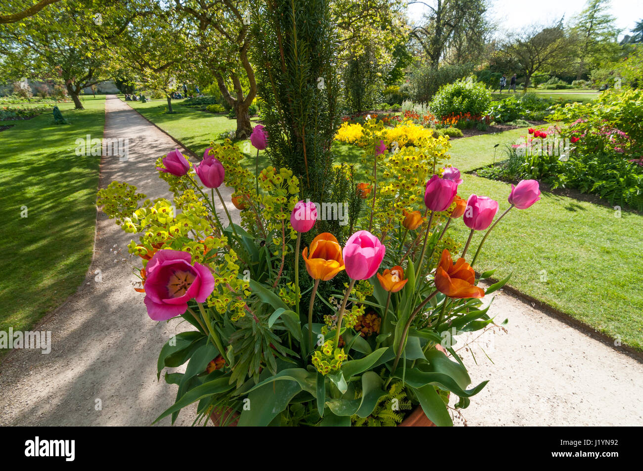 Oxford, Oxfordshire, Regno Unito. 22 apr, 2017. Regno Unito Meteo, Oxford, Oxfordshire, Regno Unito. Il 22 aprile 2017, le persone godono di giornata soleggiata in Oxford Botanic Garden e punting sul fiume Cherwell Credito: Stanislav Halcin/Alamy Live News Foto Stock