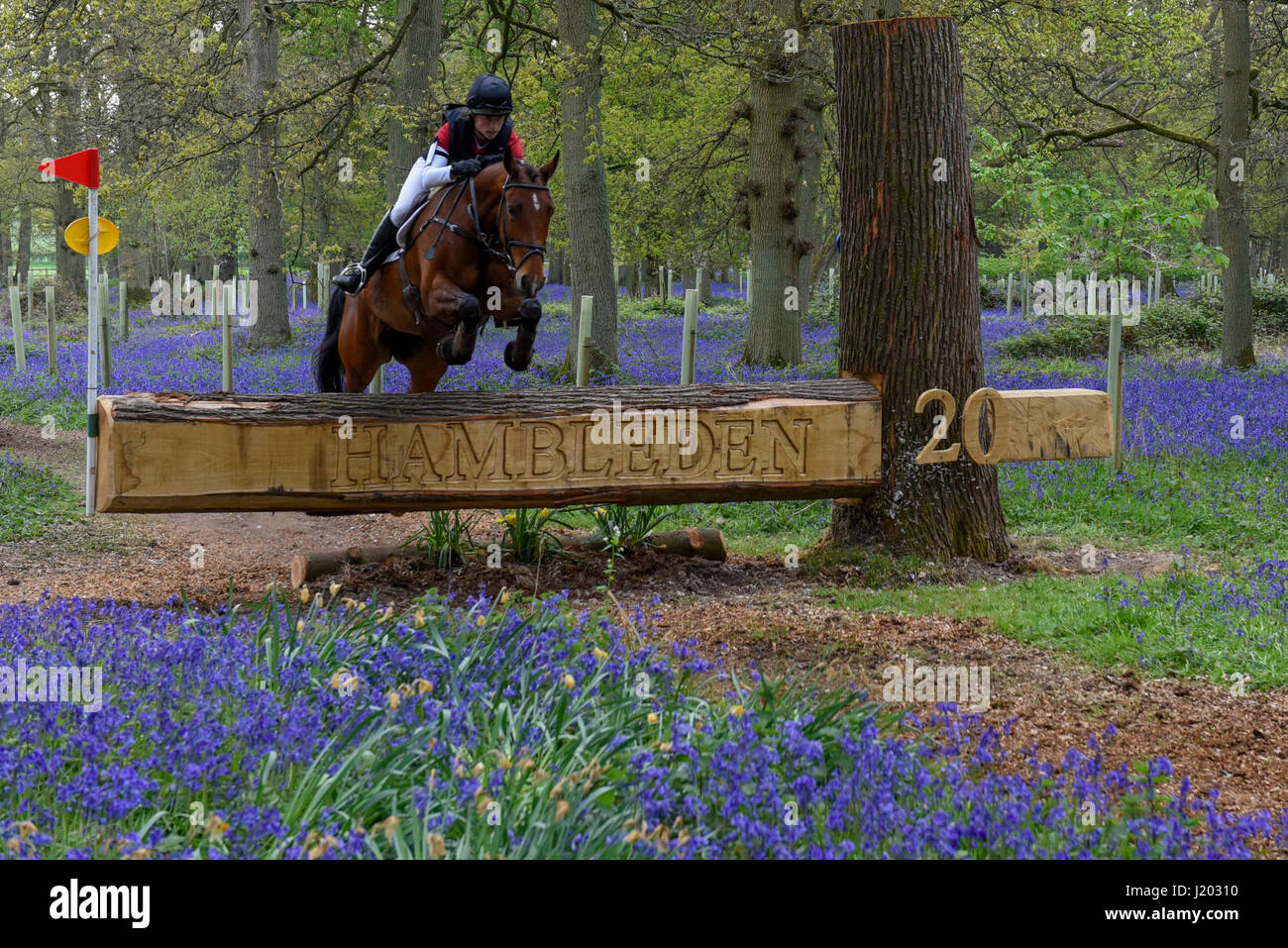 Henley on Thames, Regno Unito. Il 23 aprile 2017. I partecipanti prendono parte all'Hambleden Horse Trials. Festeggia il suo ventesimo anniversario, la concorrenza per la gestione degli eventi comprende le discipline di dressage, show jumping ed un cross country elemento che avviene attraverso la ferrovia Bluebell boschi. Credito: Stephen Chung / Alamy Live News Foto Stock